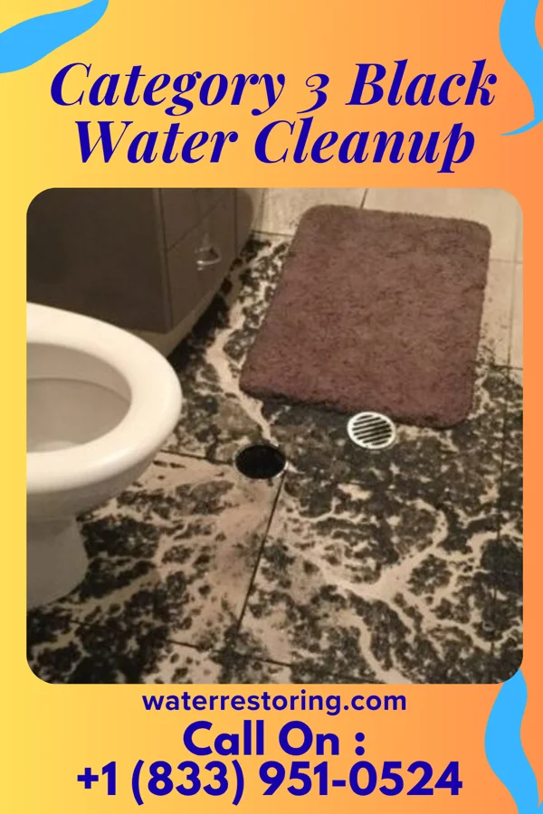 Category 3 Black Water Cleanup in Fenton, MO