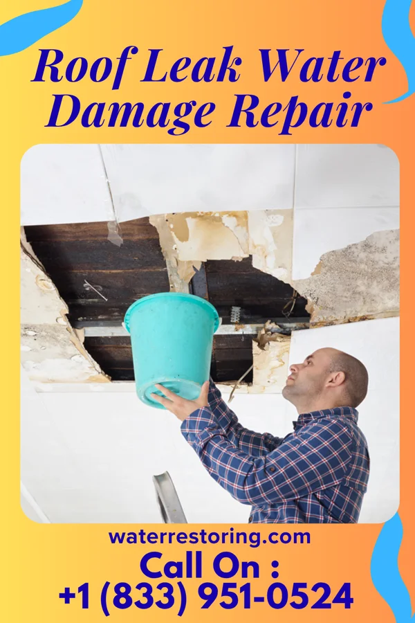 Roof Leak Water Damage Repair in Fenton, MO
